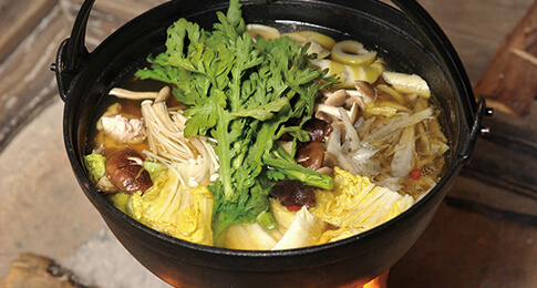 ごめんシャモ研究会