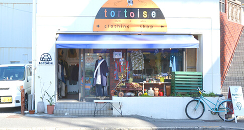 tortoise